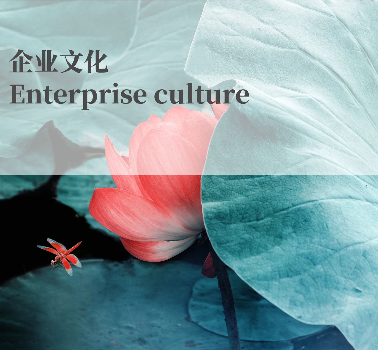 中天圣塬企業(yè)文化